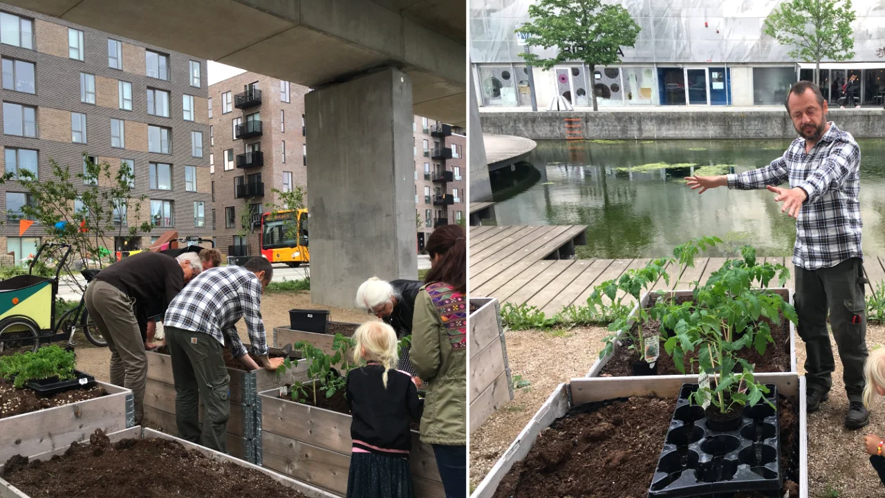 oerestad-metrohaverne2019juni.webp