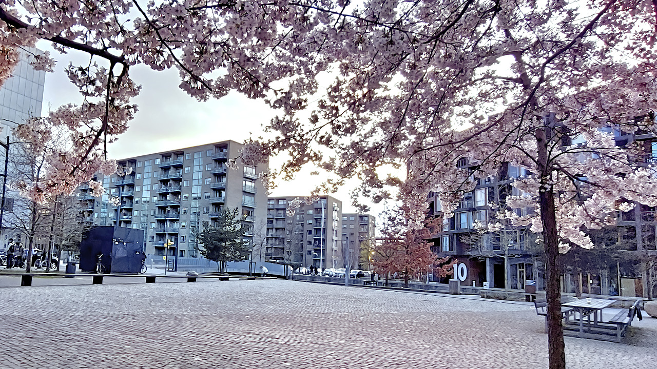 oerestad-nord-20250408.jpg